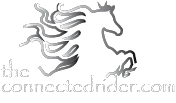 Theconnectedrider